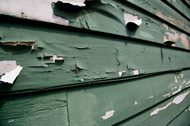 Best James Hardie Siding  in Oconto, WI
