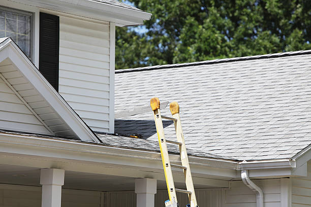 Best Custom Trim and Detailing for Siding  in Oconto, WI